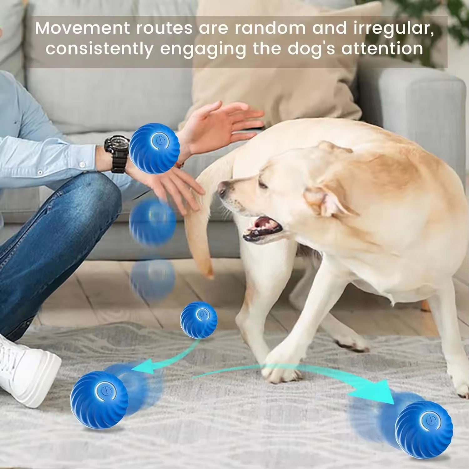 Interactive Anti-Boredom Dog Ball